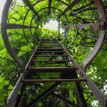 Robert L. Rodenbush - The Yes Ladder