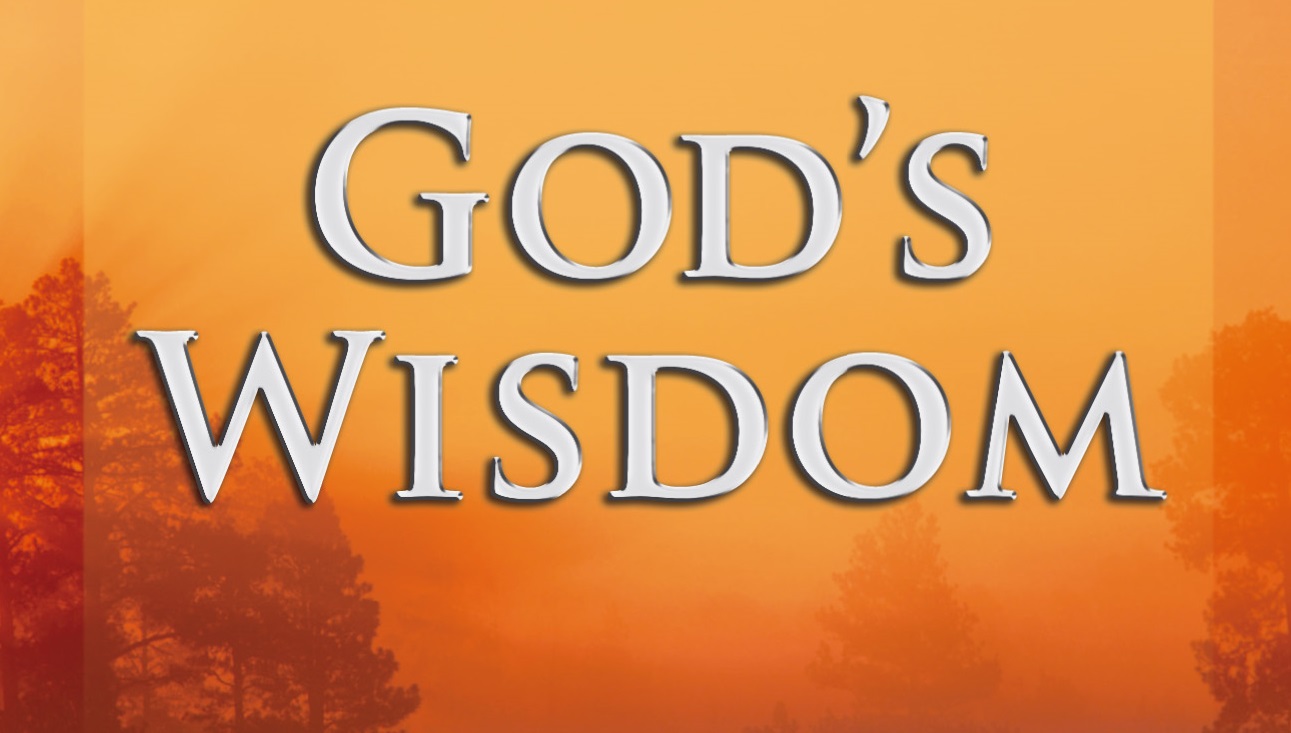Issue 31-3 - Columnist Forum - Spiritual Growth - Carol Clemans - God's Wisdom